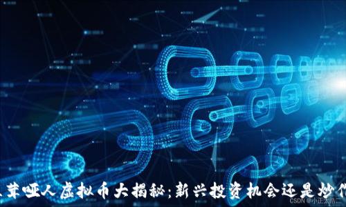   
张若兰茸哑人虚拟币大揭秘：新兴投资机会还是炒作骗局？