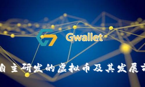 中国人自主研发的虚拟币及其发展前景分析