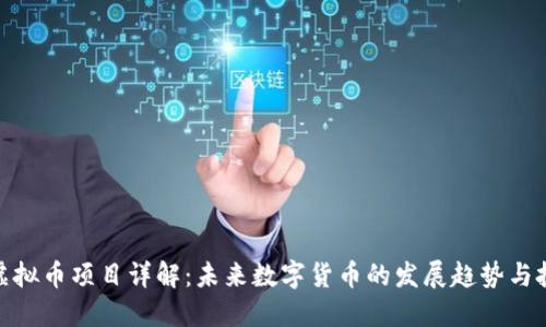 海王币虚拟币项目详解：未来数字货币的发展趋势与投资机会
