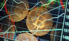 思考的且的优质    园家园