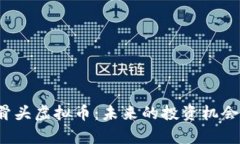 全面解析骨头虚拟币：未来的投资机会还是风险