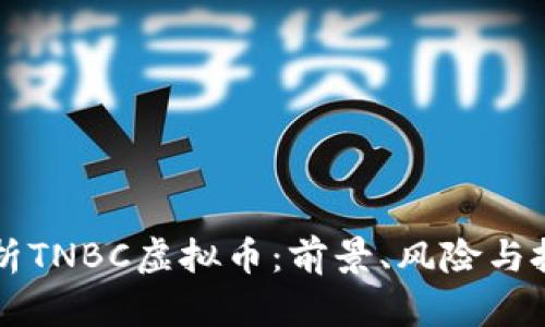 深入解析TNBC虚拟币：前景、风险与投资指南
