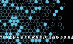 2023年虚拟币项目现状分析