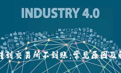 TP钱包转到交易所不到账：常见原因及解决方法