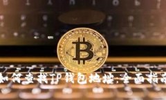 如何查找TP钱包地址：全面