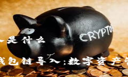 tp钱包链导入是什么

深入理解TP钱包链导入：数字资产管理的新选择