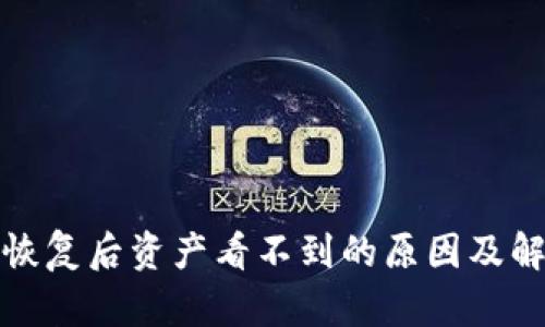 TP钱包恢复后资产看不到的原因及解决方案