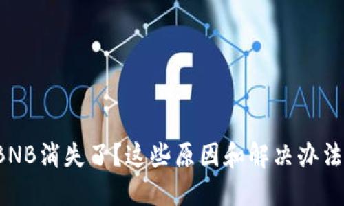 TP钱包里的BNB消失了？这些原因和解决办法你必须知道！