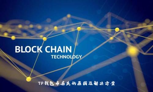 TP钱包币丢失的原因及解决方案