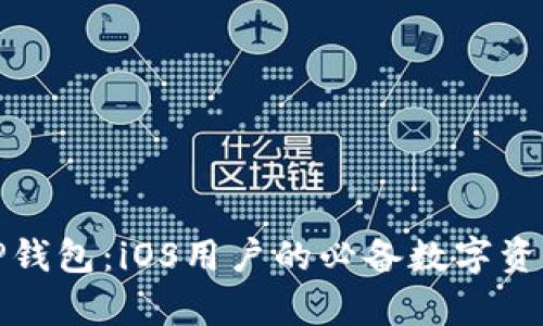 全面解析TP钱包：iOS用户的必备数字资产管理工具