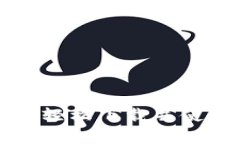 全方位解析：如何轻松下