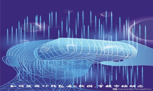 如何使用TP钱包看K线图，掌握市场动态