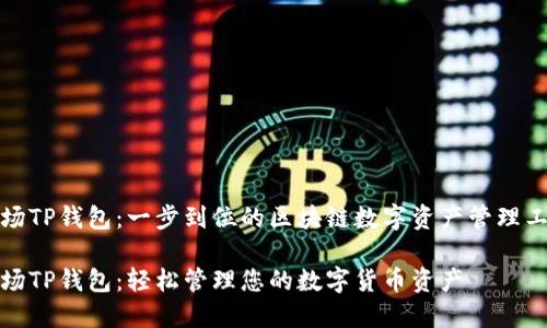 波场TP钱包：一步到位的区块链数字资产管理工具

波场TP钱包：轻松管理您的数字货币资产