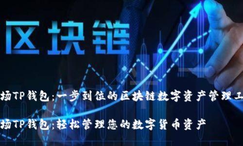 波场TP钱包：一步到位的区块链数字资产管理工具

波场TP钱包：轻松管理您的数字货币资产