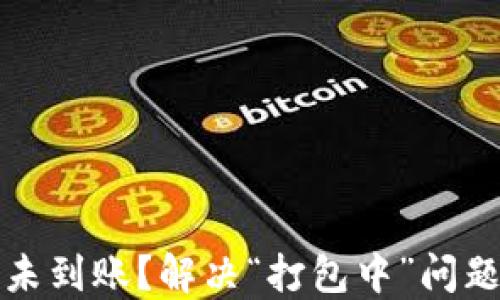 
TP钱包转账未到账？解决“打包中”问题的详尽指南