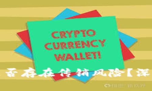 TP钱包推人升级是否存在传销风险？深度解析与用户指南