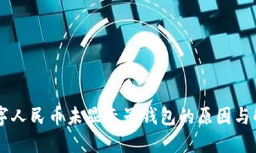 了解数字人民币未显示子钱包的原因与解决方案