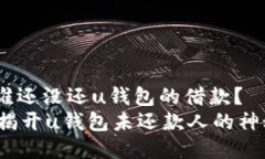 揭秘：谁还没还u钱包的借