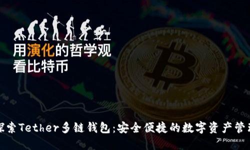 探索Tether多链钱包：安全便捷的数字资产管理