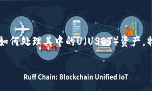 引言
随着加密货币的日益普及，数字资产的管理变得愈发重要。TP钱包作为一个便利的数字货币钱包，吸引了众多用户。许多人在使用TP钱包时，常常好奇如何处理其中的U（USDT）资产，特别是这些资产的流动性和变现能力。这篇文章将详细探讨TP钱包里USDT的流动性，并为你提供一些实用的建议，以帮助你更好地管理你的数字资产。

TP钱包里的USDT资产好出手吗？全面解析流动性与交易策略