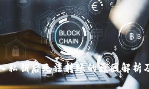 TP钱包导入私钥后无法转账的原因解析及解决方案