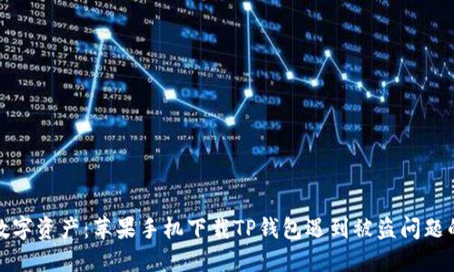 保护你的数字资产：苹果手机下载TP钱包遇到被盗问题的应对策略