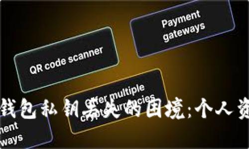 如何应对TP钱包私钥丢失的困境：个人资产安全指南