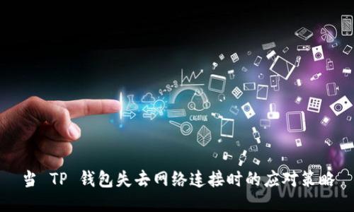 当 TP 钱包失去网络连接时的应对策略
