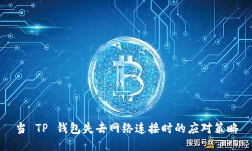 当 TP 钱包失去网络连接时的应对策略