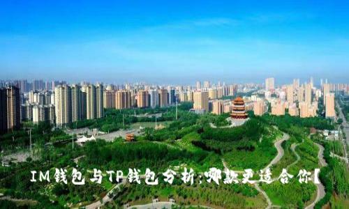 IM钱包与TP钱包分析：哪款更适合你？