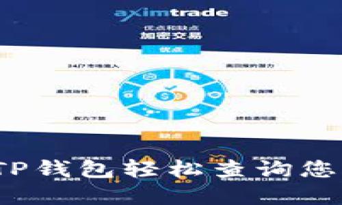  如何使用TP钱包轻松查询您的持币情况