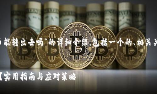 以下是一篇围绕“tp钱包被盗里面的币能转出去吗”的详细介绍，包括一个的、相关关键词，以及回答用户可能提出的问题。


tp钱包被盗后能否转移其中的加密币？实用指南与应对策略