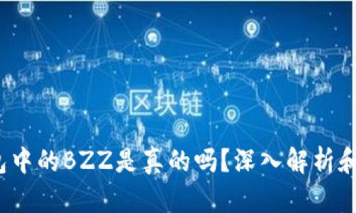 # TP钱包中的BZZ是真的吗？深入解析和使用指南