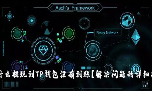 为什么提现到TP钱包没有到账？解决问题的详细指南