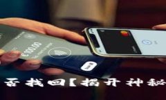 tp钱包被盗后能否找回？揭