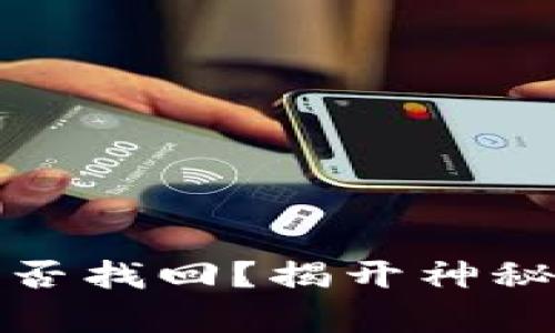 tp钱包被盗后能否找回？揭开神秘面纱的实用指南