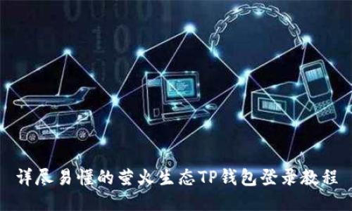 详尽易懂的萤火生态TP钱包登录教程