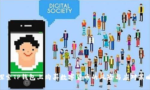 探索TP钱包上购买数字货币的风险与应对策略