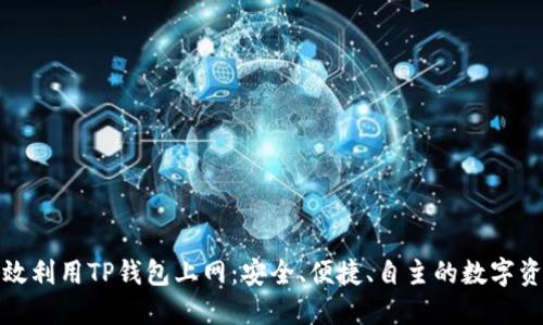 如何高效利用TP钱包上网：安全、便捷、自主的数字资产管理