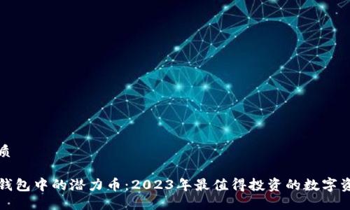优质

TP钱包中的潜力币：2023年最值得投资的数字资产