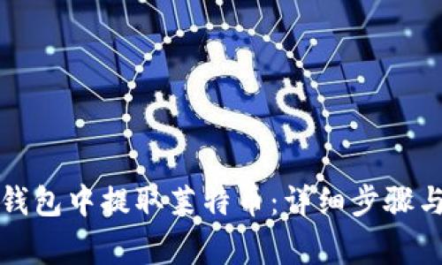 如何在TP钱包中提取莱特币：详细步骤与注意事项