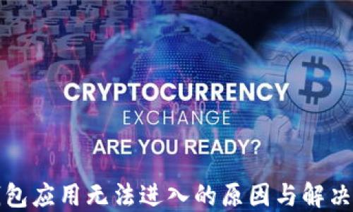 
TP钱包应用无法进入的原因与解决方法